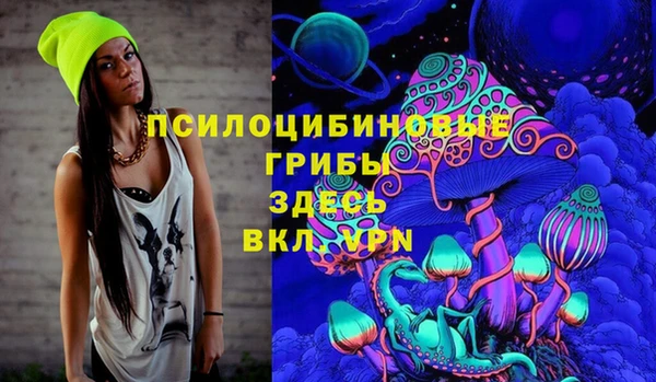 СК Белокуриха
