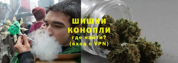 СК Белокуриха