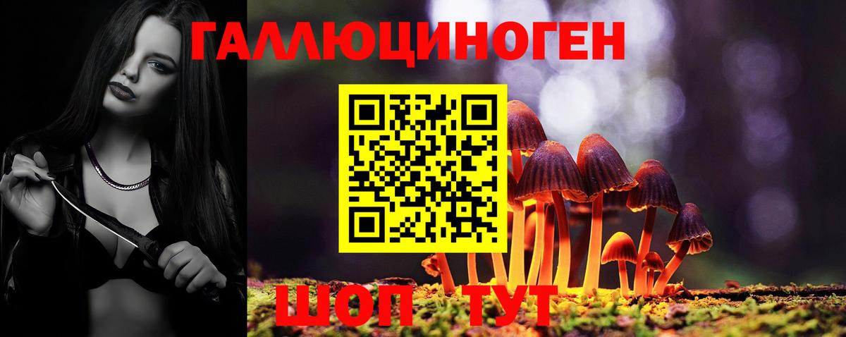 Псилоцибиновые грибы мухоморы  наркошоп  Горно-Алтайск  Вход с VPN 