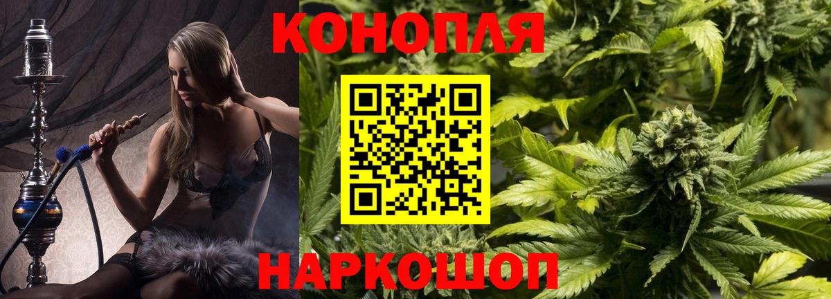 ГАШИШ Горно-Алтайск